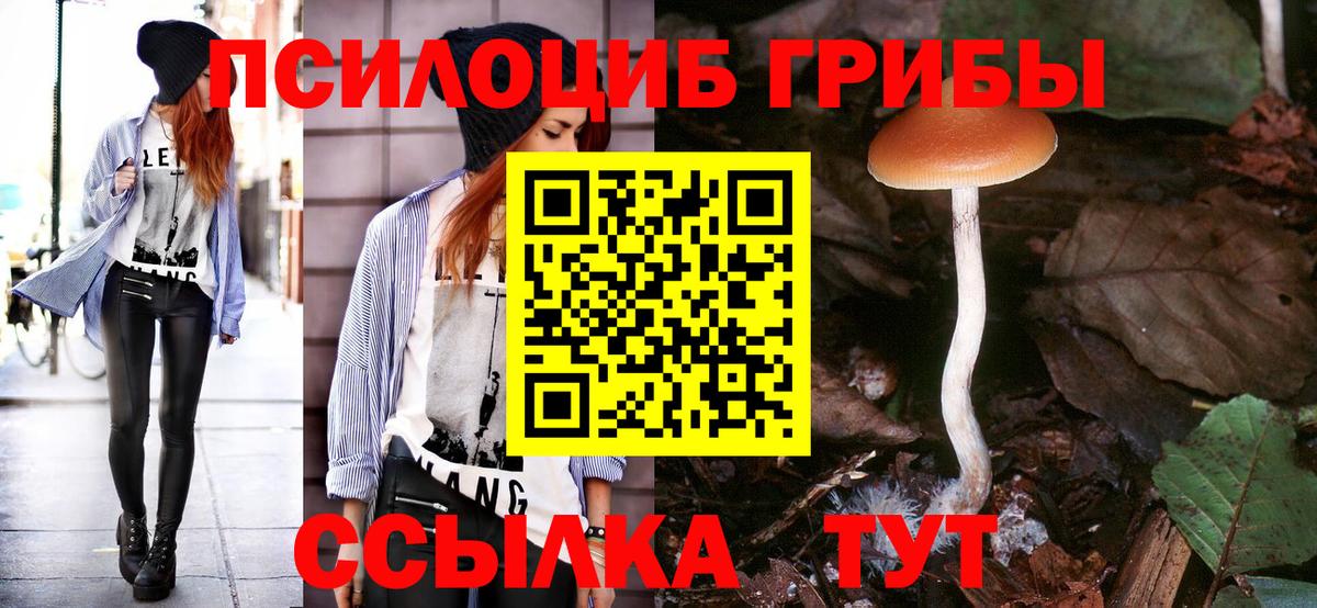 Галлюциногенные грибы Cubensis  Псилоцибиновые грибы мицелий  Реутов  Вход с VPN 