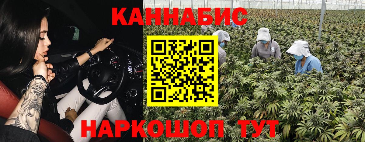 Каннабис MAZAR Реутов
